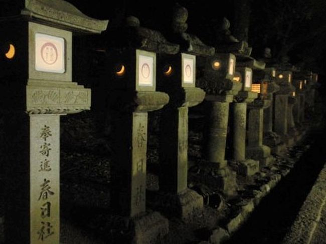  燈籠は石燈籠が約2,000基、釣燈籠が約1,000基の合計約3,000基あります。