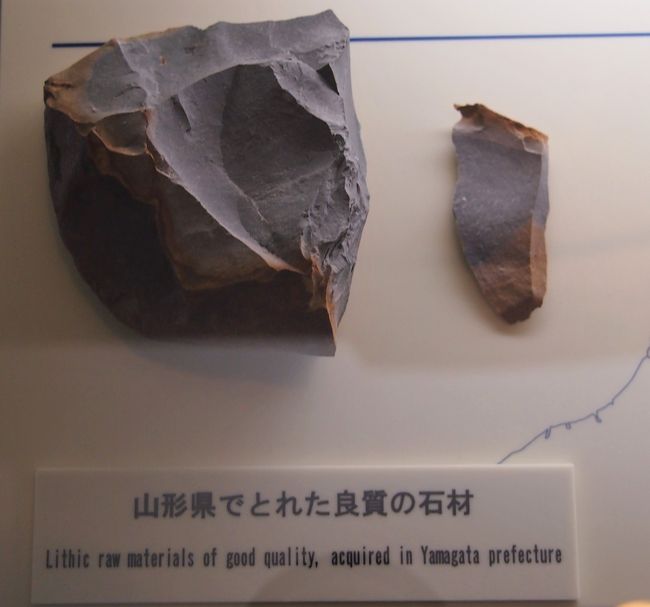 ２万年前の氷河期（旧石器時代）の森と、旧石器人の遺跡　★地底の森ミュージアム★