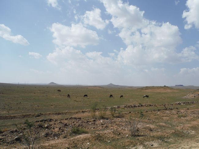 景色もモンゴルらしいというか、草原が広がっている。<br />所々牛や馬が放牧されているのが見える。