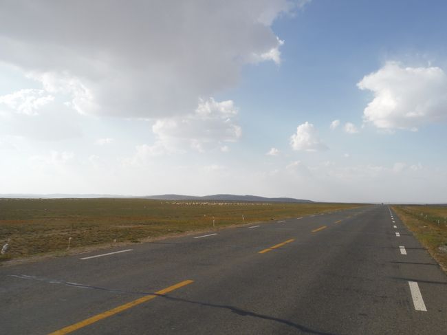 同じような写真が続いてしまいますが、同じような景色が続いているのでご了承ください。