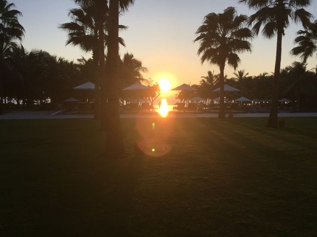 朝日を毎日みました