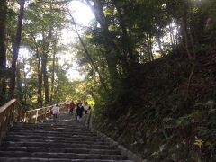 高いところにあるのが多賀宮。ここでは個人的なお参りも許されているようです。
階段を昇っていきます。