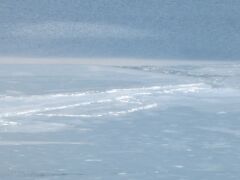 次は諏訪湖を眺めます。御神渡りはいかに！これがそうかなぁ。全面結氷はされていない感じです。