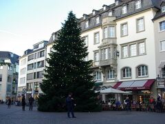 ボン大学を抜けると中心街です。マルクト広場に来ました。
大きなクリスマスツリーが立っています。ドイツのツリーはすべて生木です。
様々な大きさのモミの木をクリスマスマーケットで売っています。
