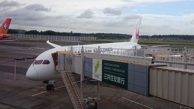 １日目。<br /><br />パパに空港まで車で送ってもらい、いよいよ出発です。<br /><br />ＪＡＬの７８７に乗りたいという息子の希望、そして、所要時間などを考えた末、ヘルシンキ乗り換えでアムステルダムまでというルートで行きました。<br />ヘルシンキからは、コードシェアしているフィンエアーで移動。<br /><br />アムステルダムからユトレヒトまで、鉄道で移動し、駅裏のパークプラザ・ユトレヒトに宿泊。<br /><br />初の子連れ海外ということもあり、１日目は移動のみということにしました。