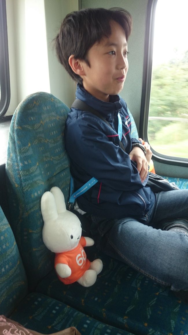 ２日目。<br />世界遺産のキンデルダイクの風車群へ。<br /><br />ユトレヒトからは９０番のバス１本で行けます。<br />所要約１時間２０分ほどです。<br /><br />いわゆる路線バスなので、途中、住宅街を抜け、川沿いを走り・・・といった具合です。<br />道路が悪い場所も多々あり、かなり揺れました。