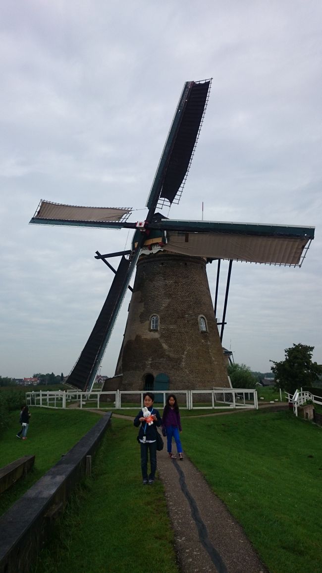 この風車の内部を見学しました。<br />けっこうな勢いで羽が回転！