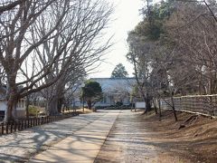 その後、三里塚記念公園へ。入口から記念館へと向かうマロニエ（トチノキ）並木＝写真＝が何ともいい雰囲気だった。※同公園はロケ地ではありません。

【下総御料牧場】
１８７５（明治８）年、内務省が主導し下総牧羊場として開場。８８（同２１）年に管轄が宮内省に移り、「宮内省下総御料牧場」となった。新東京国際空港（現・成田国際空港）の建設に伴い、牧場は栃木県高根沢町に移転。跡地の一部が、三里塚記念公園として整備された。園内には、「日本酪農の発祥の地」、「日本獣医学発祥の地」、「日本競馬発祥の地」、「ジンギスカン料理の発祥の地」などの記念碑が建ち、日本における農畜産業の先駆的存在であった同牧場の往時を偲ぶことができる。（ウィキペディア、成田市ホームページ、成田市観光協会ホームページなどより）

