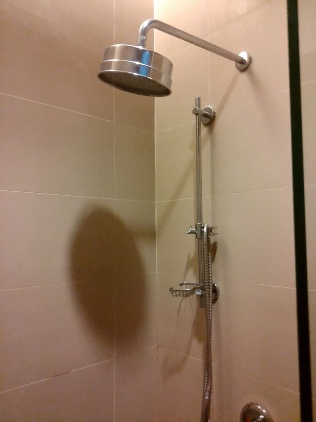 そうこうしている間に朝になったのでシャワールームを使わせていただきました。噂では水しか出ないとの事でしたがしっかりお湯が出ました。ただトイレの中にあるのと使う度に清掃しないので普通のラウンジのシャワールームよりも清潔感に欠けます。でも後述しますがシャワールームがあるだけで有難いと思います。