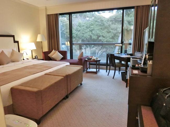 部屋はスタンダードツイン。<br /><br />４０平米あるので十分広いです。<br /><br />窓の外は隣の公園に面しているので静かで気持ちいいです。