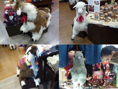 リマの空港をぶらぶら。

君はアルパカさん？リャマさん？
やっぱり見分けにくい……。