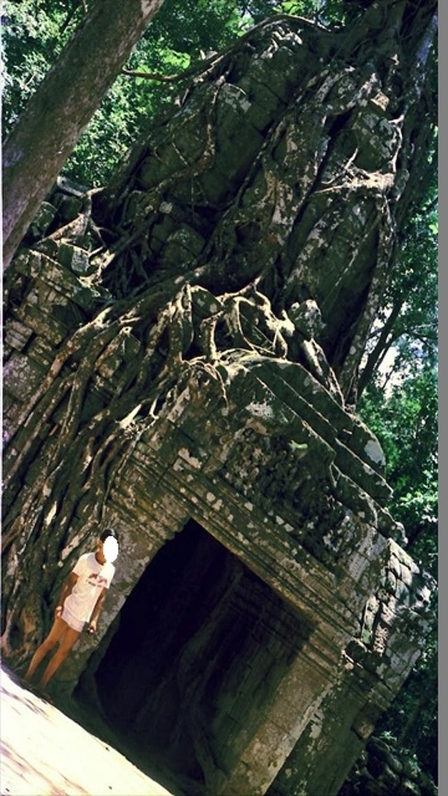 タ・ソム<br />　　1967年の東塔門の写真<br /><br />　　当時は木の根に覆われるほどではなかったのですね。このように成長し、遺跡を破壊してしまうのでしょうか。