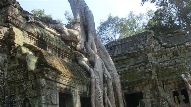 タ・プローム<br /><br /><br />14:20　タ・プローム　(トイレ)<br />15:30　出発