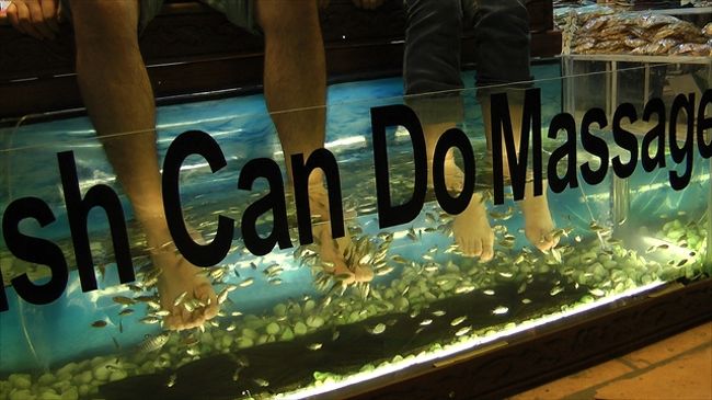 フィッシュ・マッサージ<br /><br />　　経験だけしたかったフィッシュ・マッサージを5分1人1＄で交渉し体験。