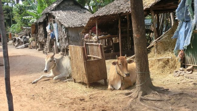 プロダック村<br />　　ヤシ砂糖農家