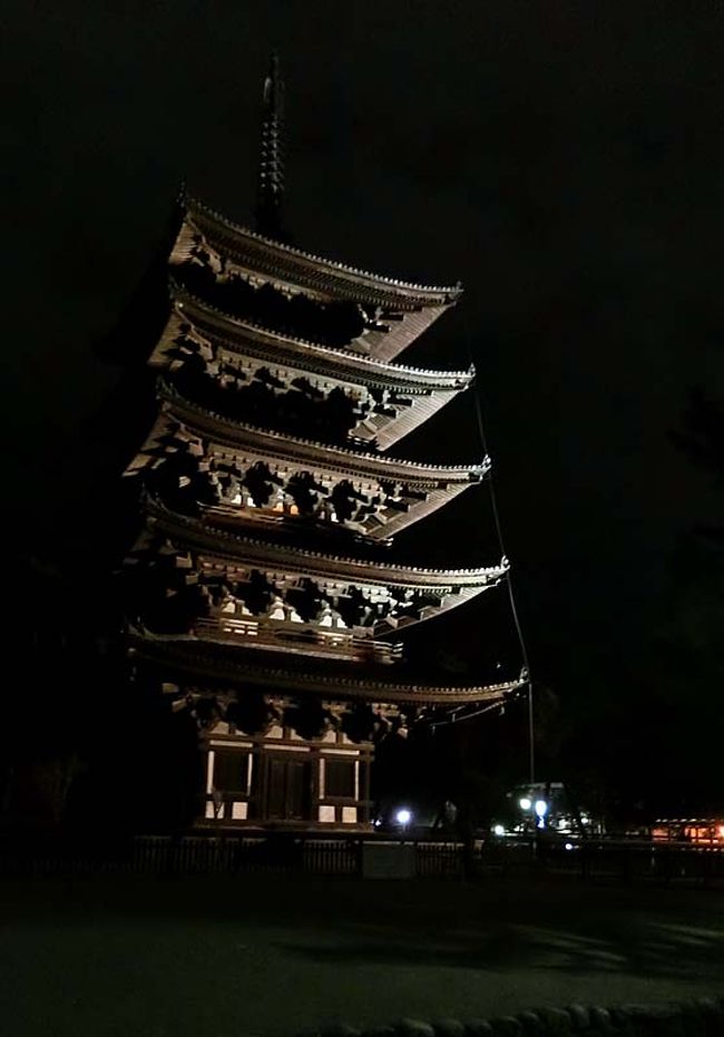 ＜興福寺＞<br /><br />骨董屋巡りの次は夕食です。<br /><br />夕食はホテル内レストランではなく、猿沢池近くの「つる由」という割烹です。<br /><br />登大路ホテルから歩いて興福寺の境内を通り抜け、「つる由」へ向かいます。<br /><br />興福寺五重塔のライトアッップを期せずして見ることができラッキーです。