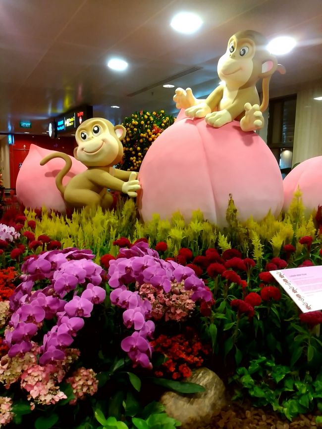 チャンギ空港に到着。去年から数えると3回目になります。この旅程を予約した時点では全く認識していなかったのですが、シンガポールは前日から春節と言う旧正月の期間で後から確認したのですが2月8日9日は祝日だったそうです。入国審査カードの宿泊先の欄には｢AMBASADER HOTEL｣と適当に記入し連絡先はブランク、滞在日数1日で提出。審査官には何も質問されずに入国出来ました。