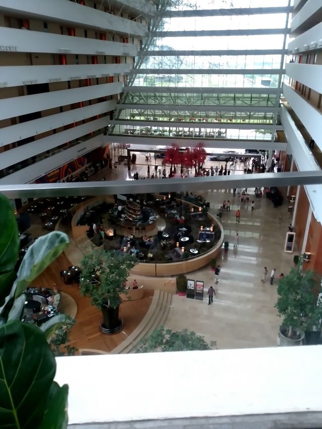 ついでにマリーナベイサンズの中も入りました。有料の展望台もありますが基本的に旅行ではなく修行なので有料施設は入る予定はありません。