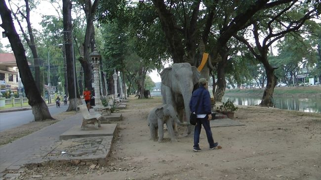 ポコンボー通り