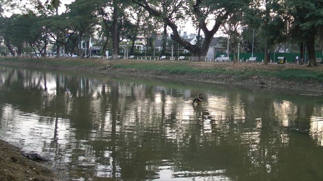 シェムリアップ川で魚を取る人