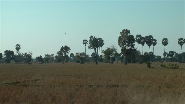 ベン・メリアに向かう田舎道