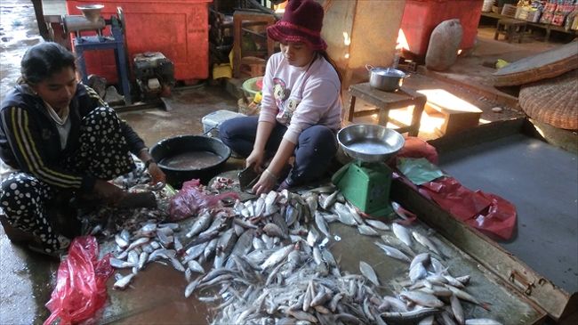 ダム・デック市場<br />