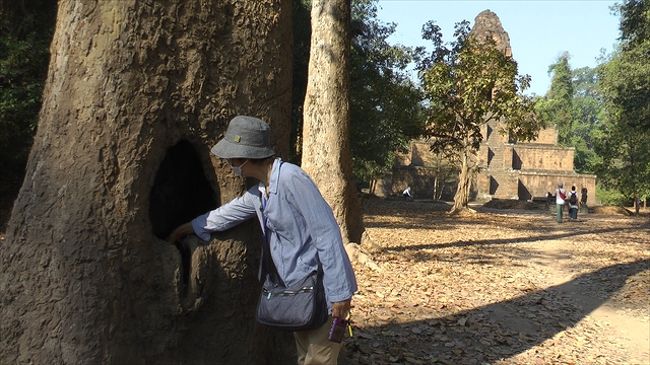 バクセイチャムクロン<br /><br />　　　焼いて油を採った穴だそうです。<br />　　