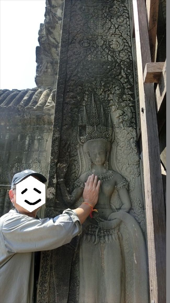 再会<br />　西塔門で再会できました。膨らみもそのままでした。