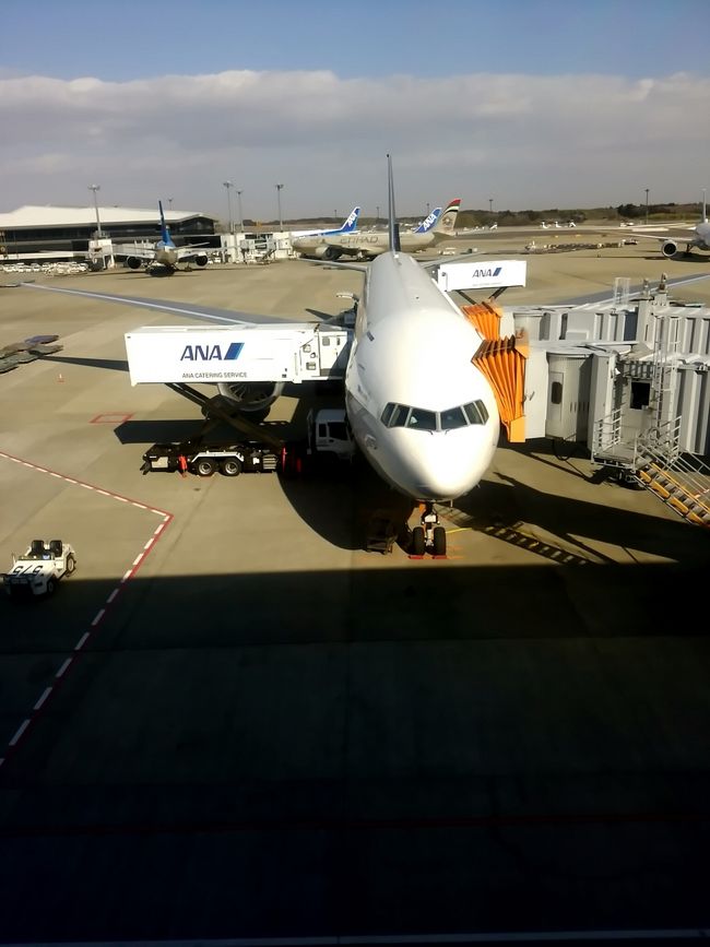 ANA802便は定刻通り6時半出発。14時過ぎに成田空港に到着しました。ダメ元で成田アライバルラウンジに行ってみましたがやはり羽田乗り継ぎのスタアラゴールドでは入室できませんでした。KULとSINどちらもまともに寝ていないのでとりあえず家に帰って休息します。