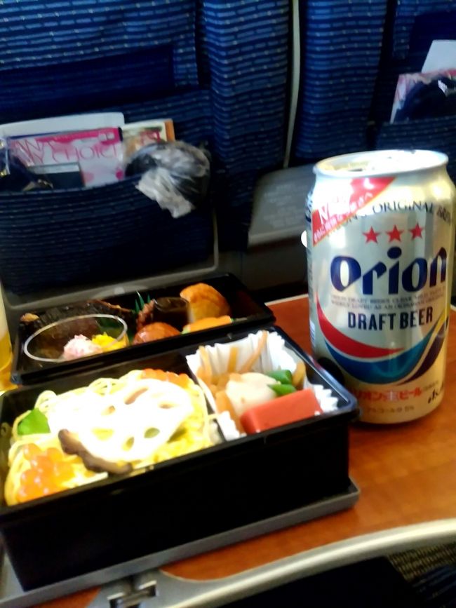 いよいよ今回の修行最後のフライトです。旅割28で予約したプレミアム席で帰路につきました。