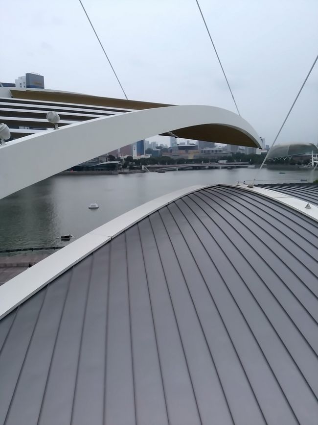 わからないかもしれませんが写真の丁度真ん中にマーライオンがいます。もう近くで見なくてもいいかなと思ってます。