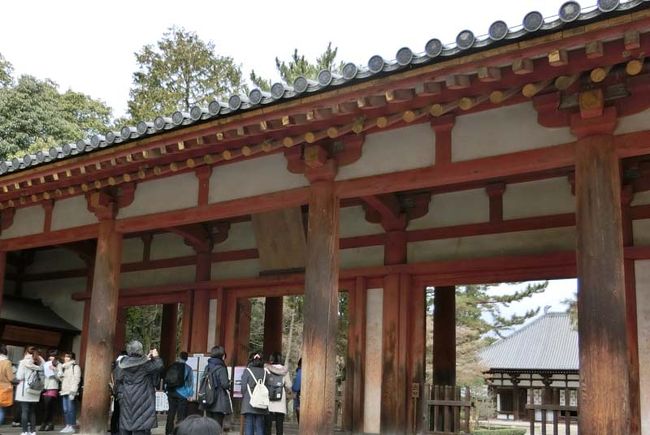 ＜唐招提寺＞<br /><br />朝食を済ませ、チェックアウトして活動開始です。<br /><br />友人と相談して彼の車で　唐招提寺、大和文華館、骨董屋、法隆寺と廻ることにしました。<br /><br />そしてまず唐招提寺にやってきました。<br /><br />拝観料を払って南大門から入っていきます。