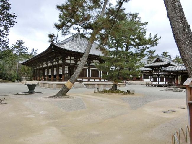 金堂の中には入れませんが格子越しに覗いてみると巨大な本尊盧舎那仏、薬師如来立像、十一面千手観世音菩薩など素晴らしい仏像を拝むことができます。<br /><br />ますます唐招提寺が好きになってきました。<br /><br />仏像の写真撮影は禁止です。他のホームページでご確認ください。