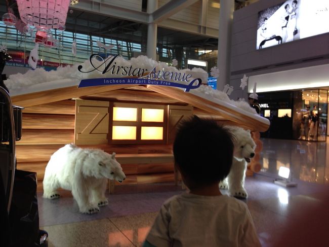 あっ。ここは既に乗り継ぎの仁川でした。