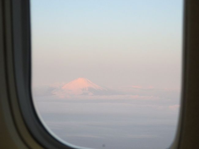 富士山がみえました。