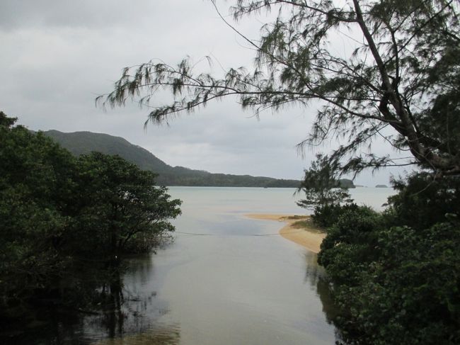 晴れないかな？