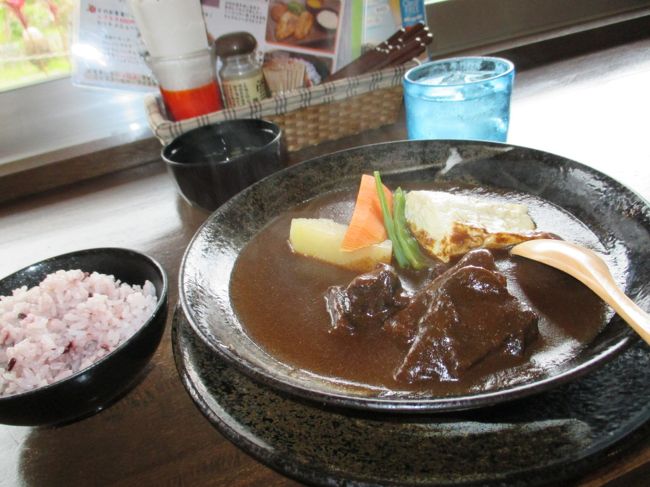 石垣牛のほほ肉を使ったシチュー。<br /><br />美味しかったなー