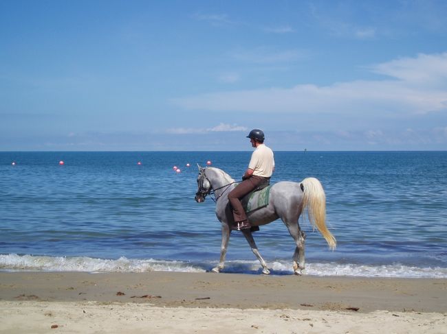 ビーチ沿いを走る、馬。この辺はイギリス支配時代の名残なのかと思いました。