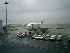 あいにくの天気の中、羽田空港から新千歳空港に飛び立ちます。