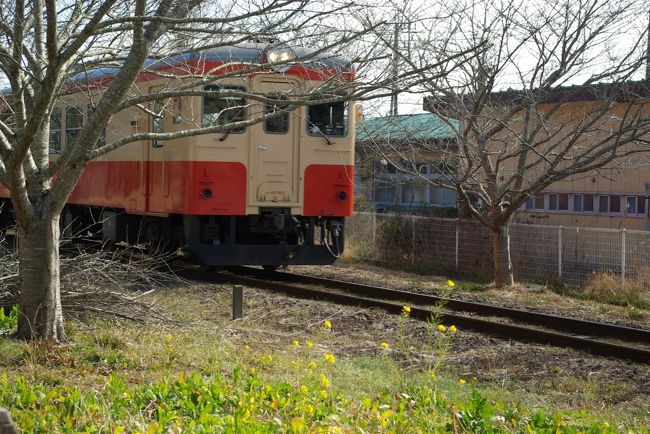 菜の花と いすみ鉄道 を見たら ポッポの丘 に往年の列車に会いに行こう いすみ 大多喜 千葉県 の旅行記 ブログ By ミズ旅撮る人さん フォートラベル 菜の花と いすみ鉄道 を見たら ポッポの丘 に往年の列車に会いに行こう いすみ 大多喜 千葉県 の旅行記 ブログ By ミズ旅撮る人さん フォートラベル