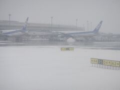 当日は雪の状況次第で成田に引き返すかもしれない、という条件付きフライトでした。
この日の午後３時以降の便は欠航になったようです。
朝の便でセーフ！
