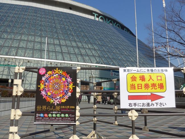 世界らん展 日本大賞2016 In 東京ドームの初日に行って来ました 水道橋 東京 の旅行記 ブログ By Sakuraさん フォートラベル