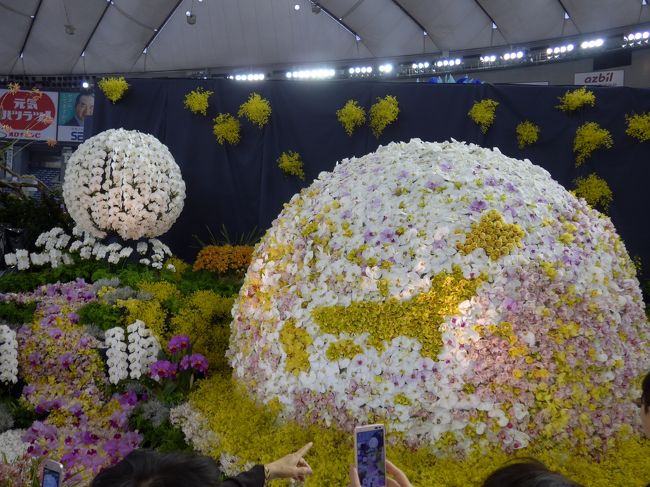 世界らん展 日本大賞２０１６ In 東京ドームの初日に行って来ました 水道橋 東京 の旅行記 ブログ By Sakuraさん フォートラベル