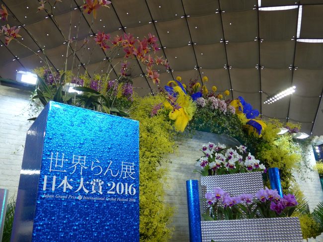世界らん展 日本大賞２０１６ In 東京ドームの初日に行って来ました 水道橋 東京 の旅行記 ブログ By Sakuraさん フォートラベル