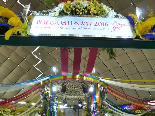 世界らん展 日本大賞2016 In 東京ドームの初日に行って来ました 水道橋 東京 の旅行記 ブログ By Sakuraさん フォートラベル 世界らん展 日本大賞2016 In 東京ドームの初日に行って来ました 水道橋 東京 の旅行記 ブログ By Sakuraさん フォートラベル