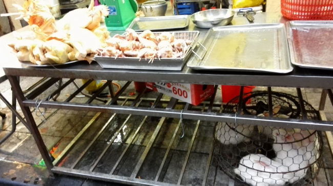 下のウサギはベトナム料理になるのか、フレンチになるのか・・・・