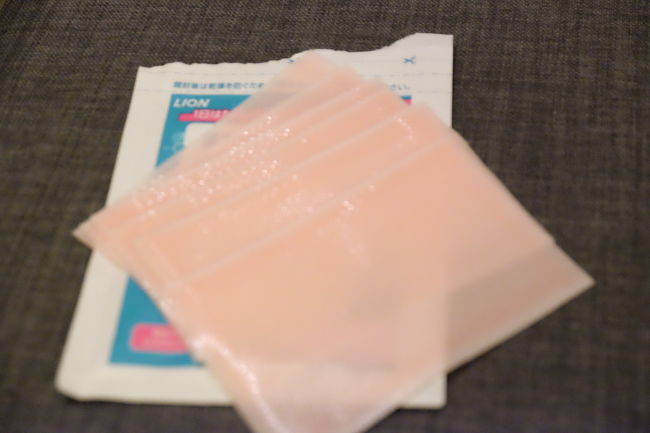 たくさん歩いた今日は、Ujちゃんが絶対必要とのことだった、休息時間のお世話になって就寝zzz<br />明日はヴェルサイユ宮殿に行きます！！