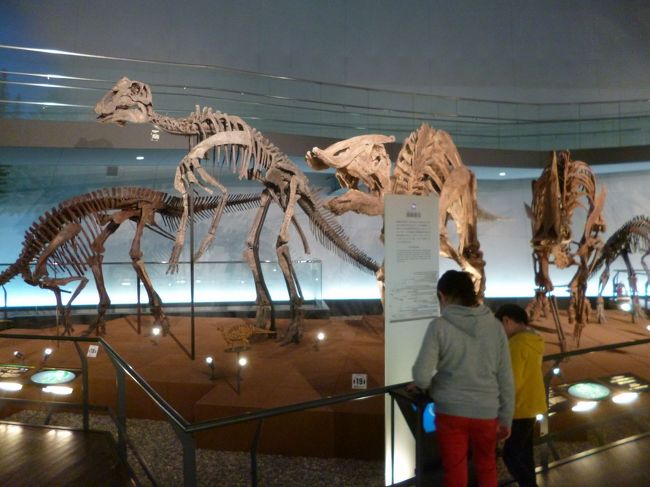 館内には骨格標本やジオラマ映像など多数の展示あり<br />子供たちも楽しそう・・・