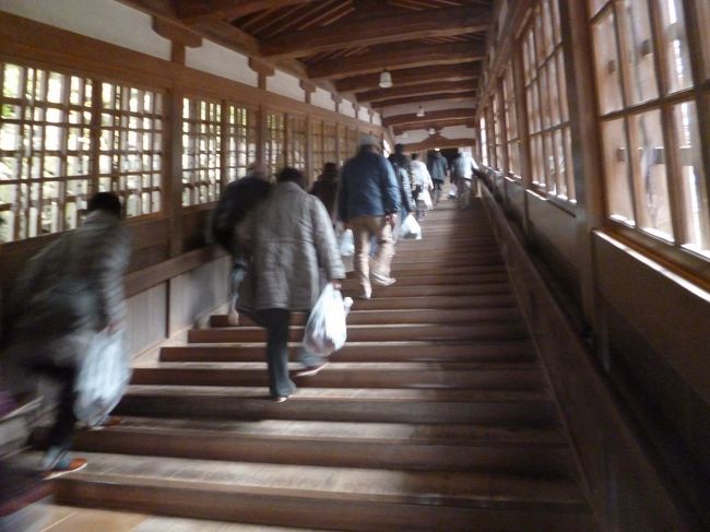 来てみて初めてわかりますが、山腹に各建物が建てられているため、移動の階段が<br />意外とキツイです。