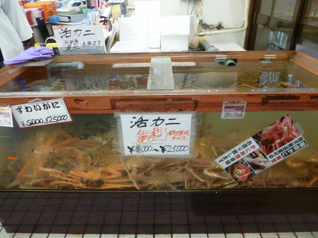 越前といえば・・・やっぱりカニですね。見るだけにしました